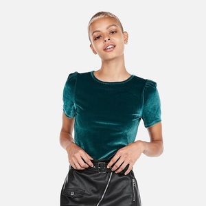 Velvet Puff Sleeve Top (Out OF Stock At Express)
